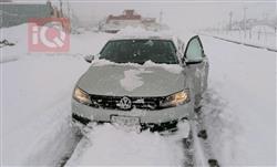 ڤۆڵکسواگن جێتا